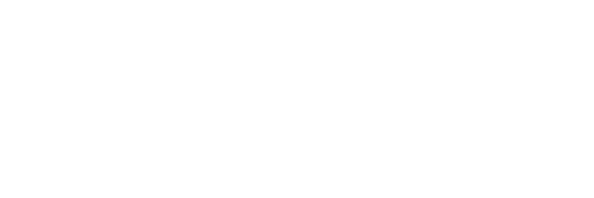 Sahara Net logo white