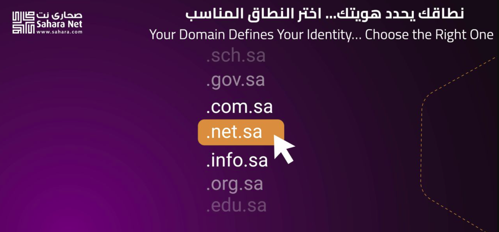 domain-promo2